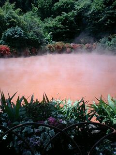 100616_1101~0001.jpg